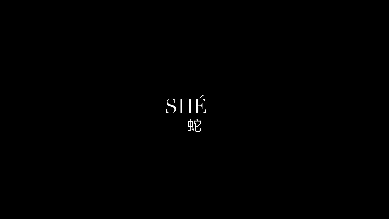 Centered white serif text showing pinyin "SHÉ" above Chinese character 蛇 on a solid black title card