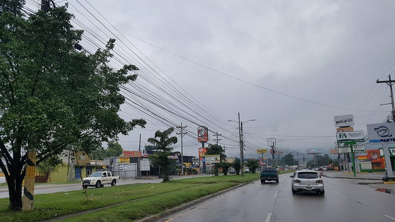 Urban street on a cloudy, rainy day with cars, trees, and power lines along storefronts.
