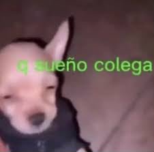 Grainy low-res meme of a squinting sleepy chihuahua with overlaid bright green "q sueño colega" t...