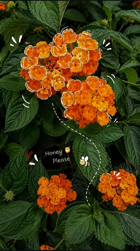 Bright orange lantana flower clusters with playful hand-drawn doodle overlays and cartoon bee graphic