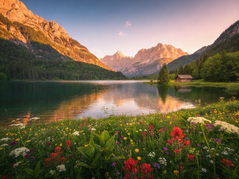 Mountain lake with wildflowers in the foreground, forested slopes, and alpine peaks at sunset.