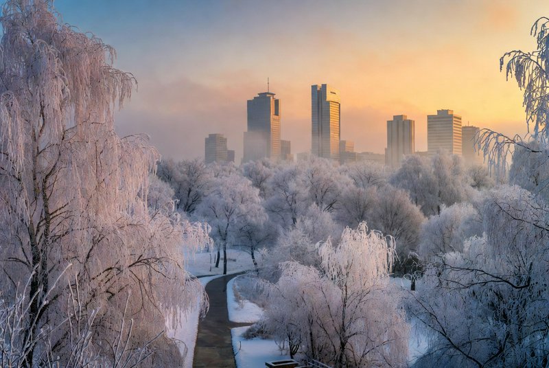Snowy park with frosted trees and a distant city skyline at sunrise.