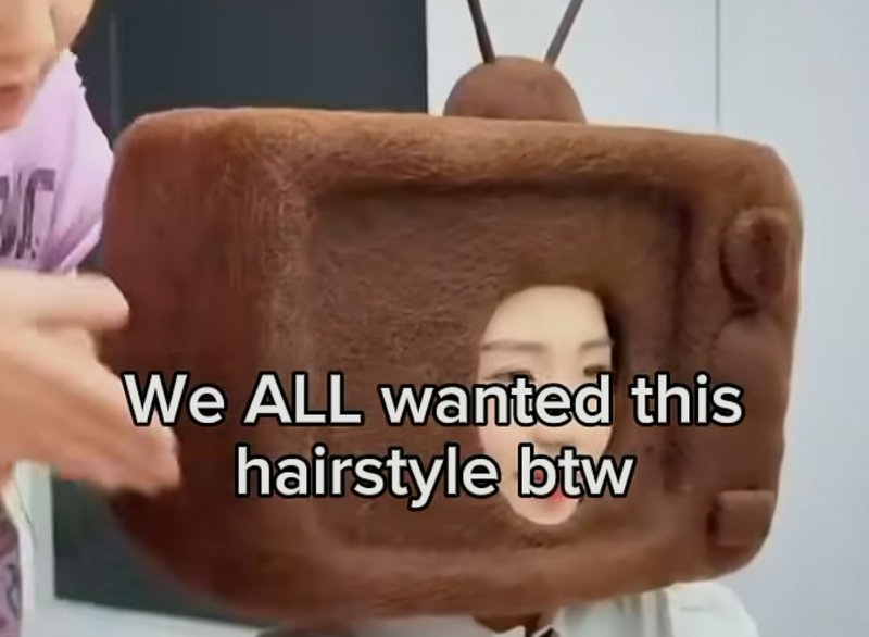 Funny meme showing a person in a fuzzy retro TV head costume, with overlaid text joking about the...