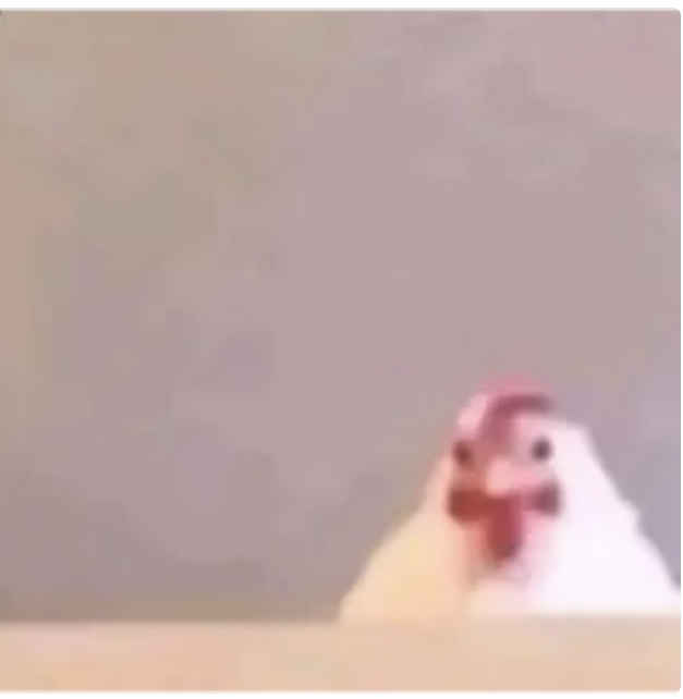 A humorous white chicken with a red comb peeking over a ledge against a soft beige background.