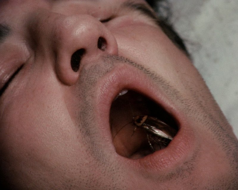 Close-up of a man's open mouth with a mosquito inside the oral cavity.