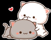 Two cute cartoon kittens, a white cat hugging a gray cat with blush, surrounded by small hearts.