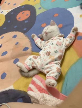 Smiling white kitten in a pastel onesie sleeping on a colorful polka-dot blanket.