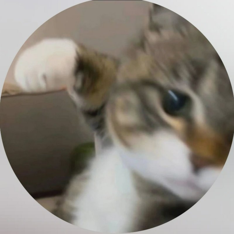 Blurry close-up of a domestic cat's face with a visible blue eye and ear.