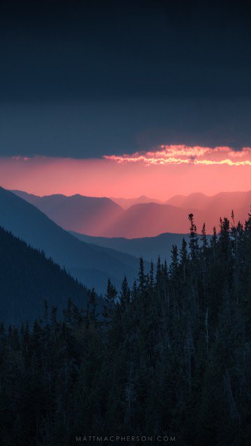 Silhouetted evergreen forest with layered mountain ridges at sunset.