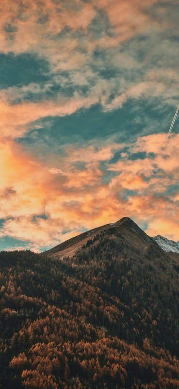 Mountain peak above a pine forest at sunset with orange-pink clouds.