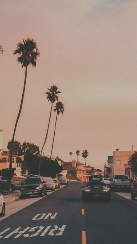 Palm-lined street at dusk with a warm sunset sky and parked cars.