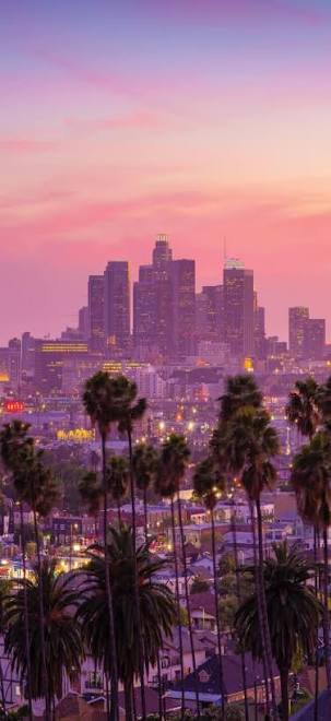Elevated view of Downtown Los Angeles skyline framed by tall palm trees under a soft pastel pink ...