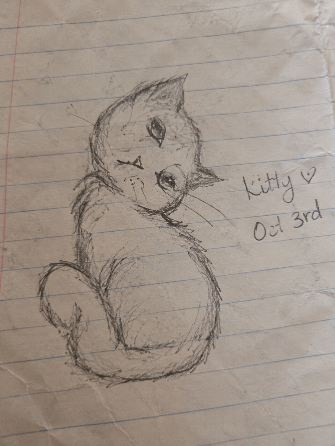Loose pencil sketch of a fluffy head-tilting cat drawn on crumpled lined notebook paper