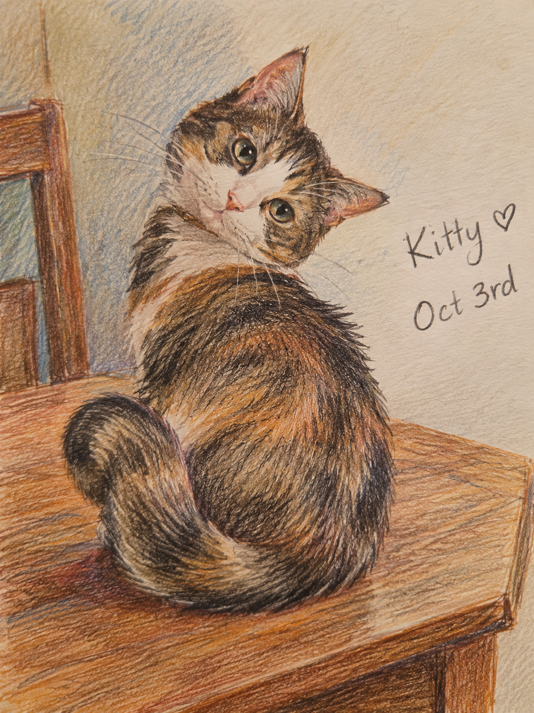 Fluffy calico tabby cat tilts its head looking back while seated on a wooden table in a colored pencil sketch