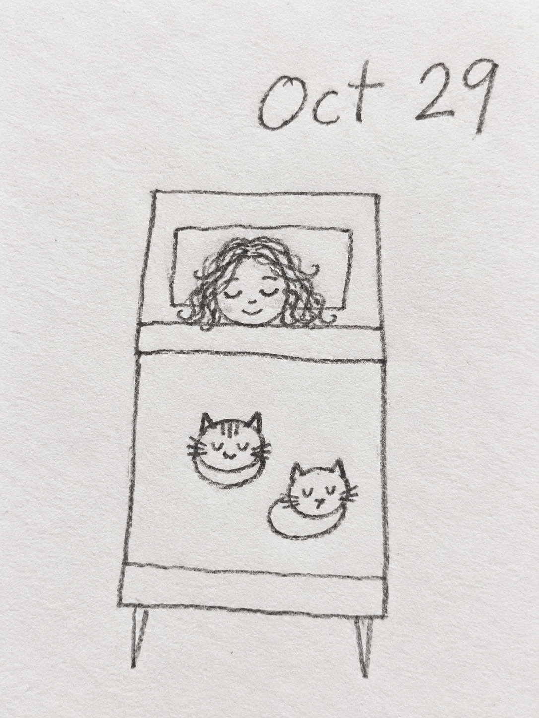 Hand drawn pencil sketch of a girl sleeping in bed with two curled up cats, dated Oct 29