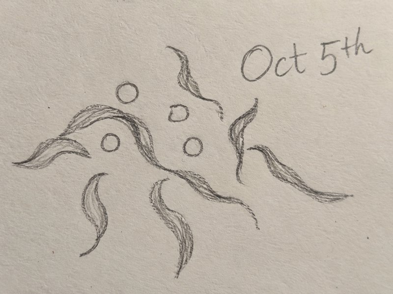 Hand drawn pencil doodle of swirling wind and falling dots, dated Oct 5th on textured cream paper