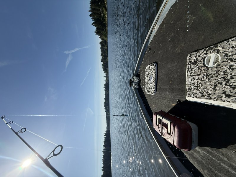 Boat deck on a lake with fishing gear, sun glare, and a tree-lined shore.
