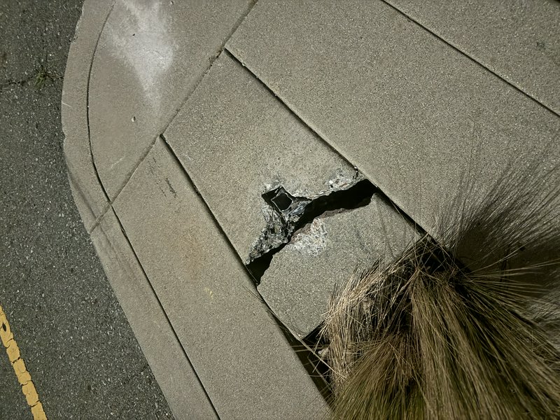 Cracked concrete on a sidewalk with a large hole and a tuft of hair in the foreground.