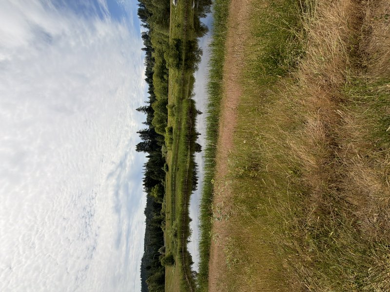 Narrow dirt riverside trail lined with mixed green and dry grass, bordered by a calm reflective r...