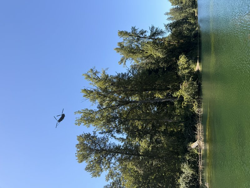 Twin rotor military helicopter flies over a calm green lakeshore lined with tall evergreen trees ...