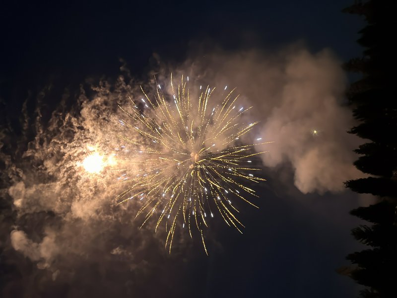 Golden starburst firework exploding against dark night sky, surrounded by wispy smoke, with an evergreen tree silhouette f...