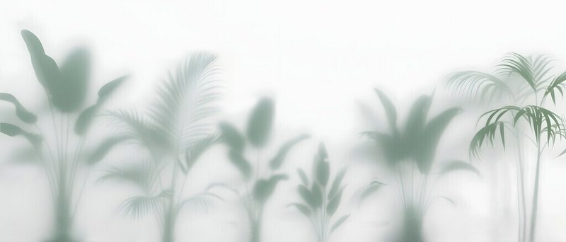 Soft, foggy tropical plants silhouette against a pale, misty backdrop