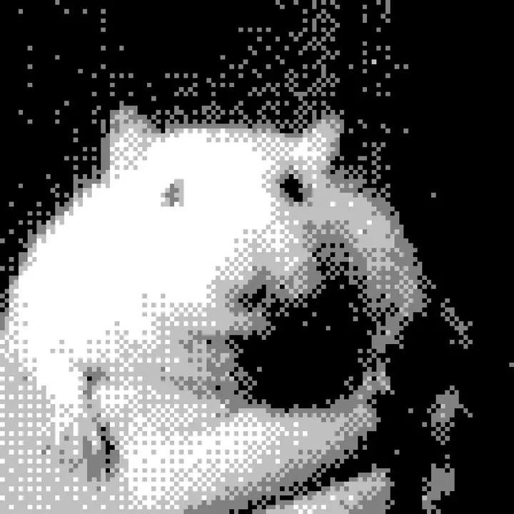 Pixelated grayscale close-up of a white cat face against a black background
