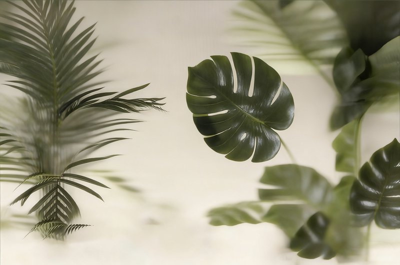 Close-up of a glossy Monstera leaf with blurred palm fronds in a tropical indoor scene