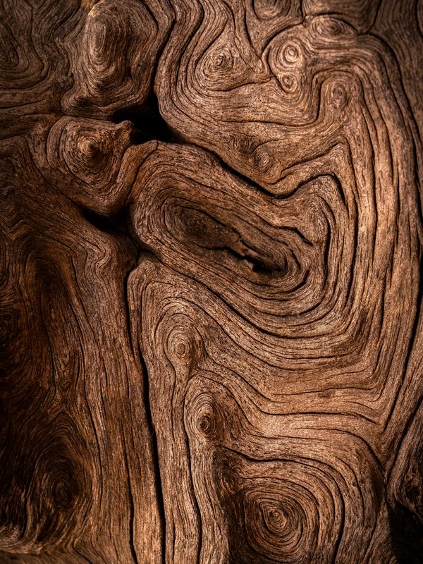 Close-up of weathered wood grain with intricate spirals and knots