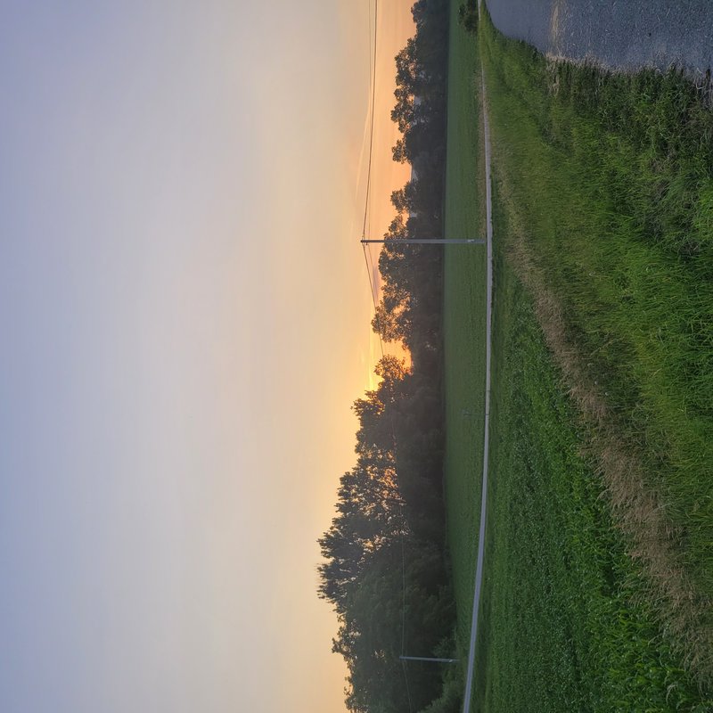 Serene rural sunset landscape with grassy farm field, silhouetted treeline, paved roadside, and g...