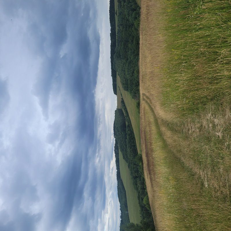 Tilted view of rolling rural hills with grassy meadows, dense forest strips, and a cloudy blue sky.