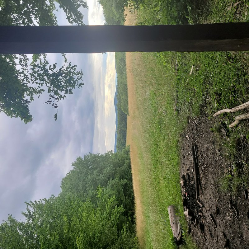Framed campsite view of grassy meadow, dense green forest, cloudy sky, and old campfire pit in th...