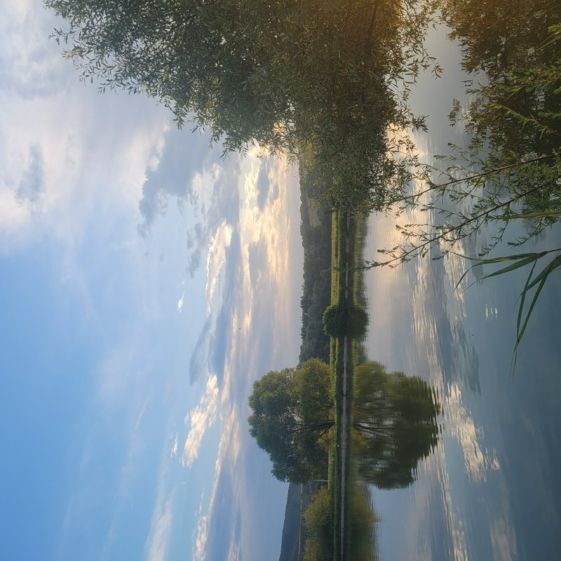 Glassy still lake reflecting golden hour cloudy sky, lush willow trees and green shore, framed by...