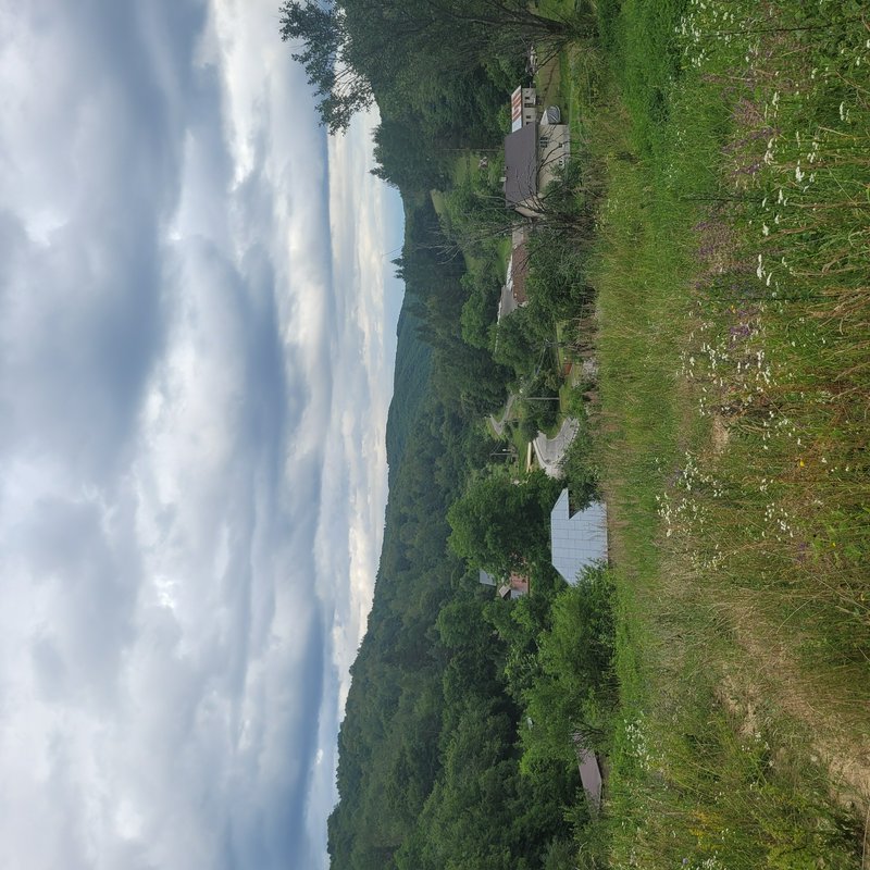 High angle view of a quiet rural mountain village nestled in forested hills, wildflower meadow fo...