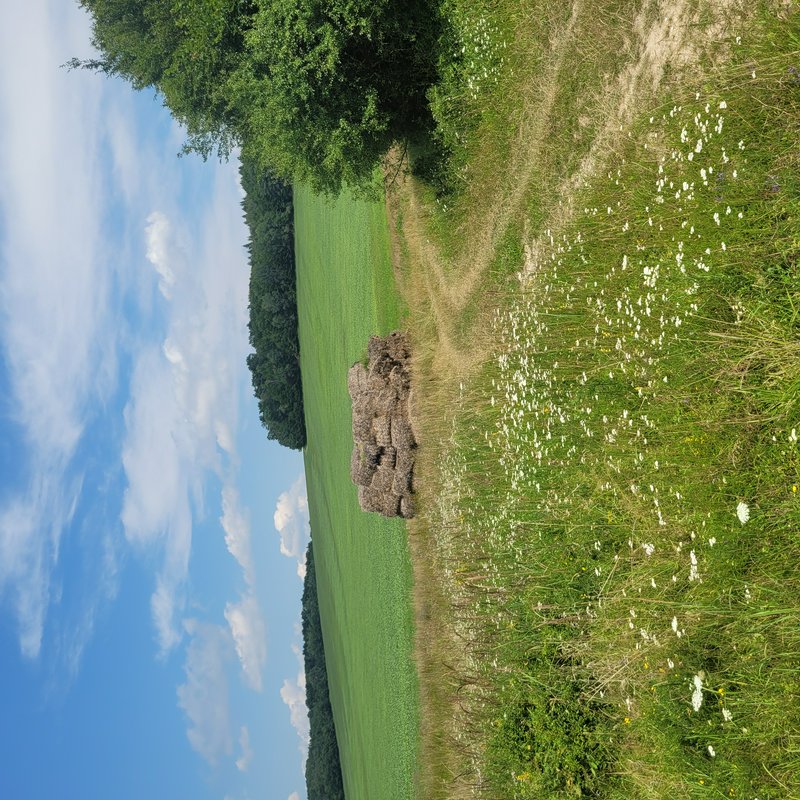 Stacked hay bales sit at the edge of a green field beside a wildflower meadow, forest line, and bright cloudy summer sky.