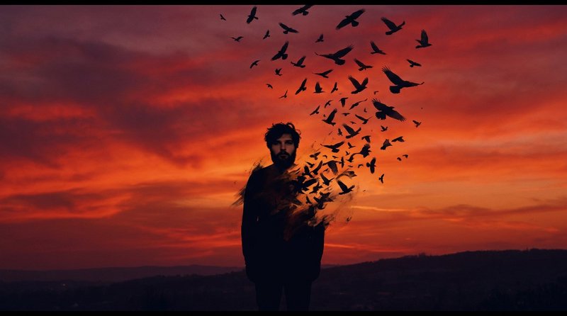 Silhouette of a man at sunset dissolving into a flock of birds in flight.
