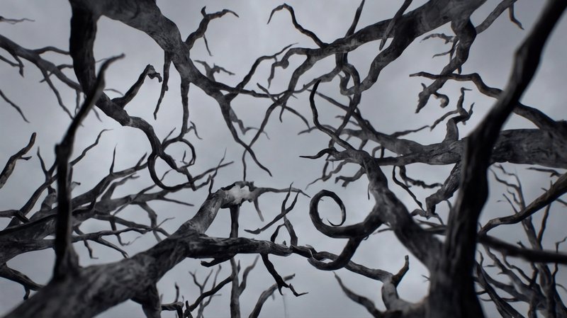 Gothic tangle of bare, twisting tree branches against a gray, overcast sky