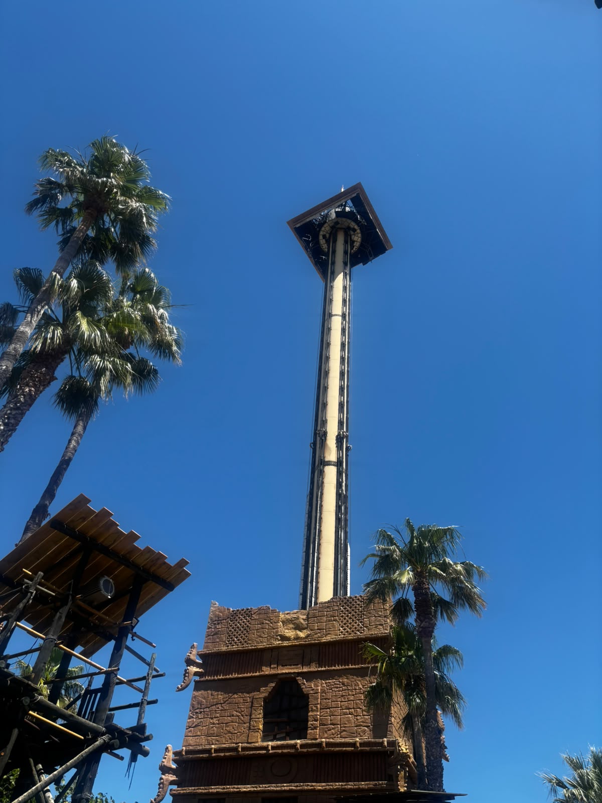 Tall amusement park drop tower beside palm trees with a stone ruin facade at the base.