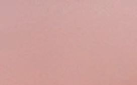 Soft muted dusty rose plain background with subtle faint organic textural variations across the f...