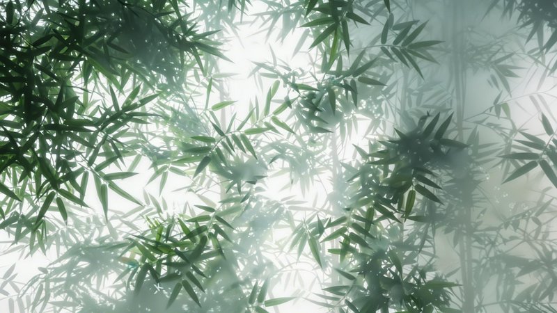 Dense bamboo leaves with sunlight filtering through a green canopy