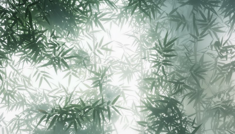 Dense green bamboo leaves forming a sunlit, misty canopy with soft, ethereal light.