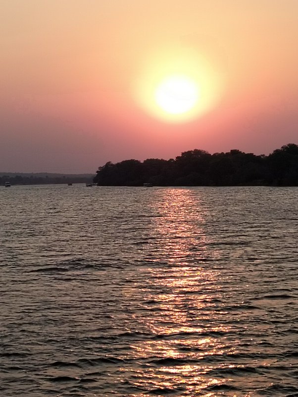 [Bright warm sunset casts a shimmering golden reflection across rippling river water, with a silhouetted tree-lined shore ...