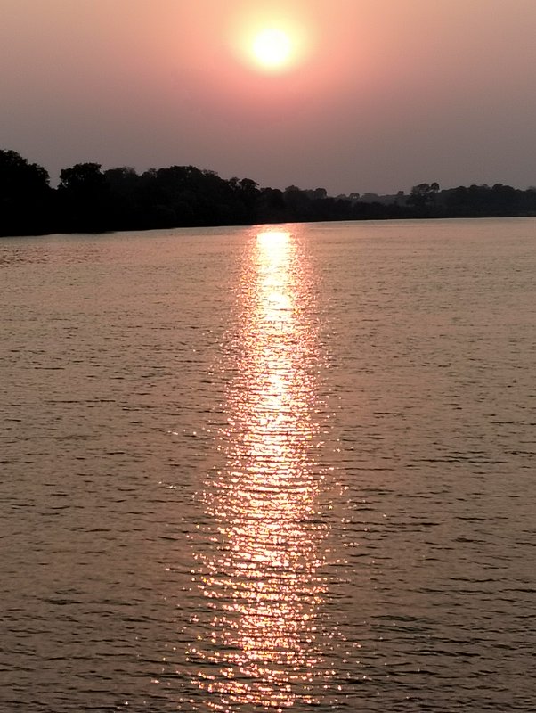 [Bright setting sun casts a glittering golden reflection path across calm rippled river, with silhouetted tree-lined shore...