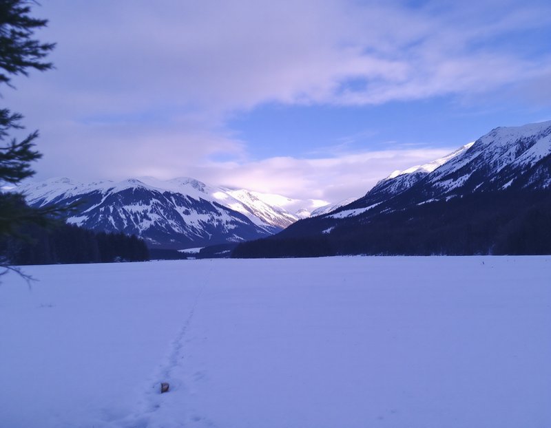 Snowy valley with a trail of footprints, surrounded by evergreen trees and snow-capped mountains under a blue winter sky.
