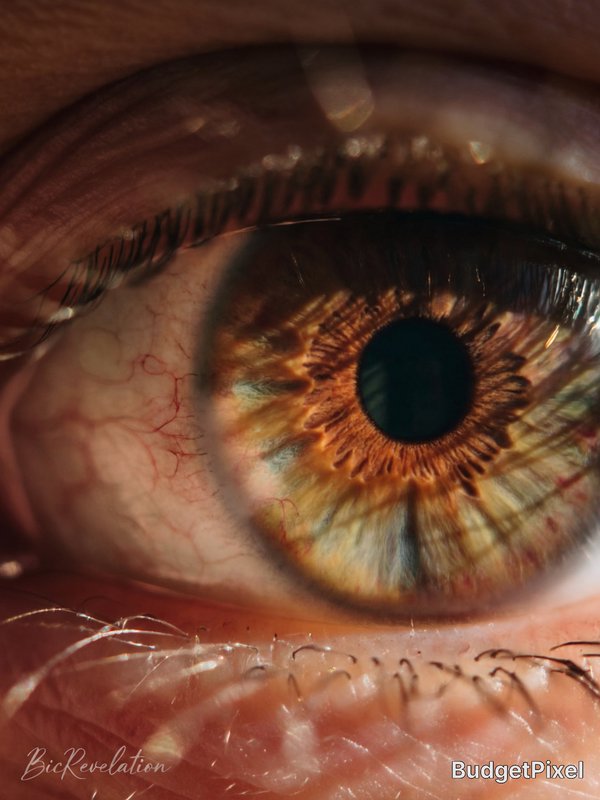 Create a hyper-detailed cinematic digital artwork of an amazing, soulful eye: an extreme close-up of a human eye with intricate iris patterns, delicate veins in the sclera, and a deep, reflective pupil holding subtle stories and light. Warm cinematic lighting with soft highlights and emotional depth. Ultra realistic textures, captivating presence, masterpiece digital art quality. In the lower-left corner, add subtle elegant calligraphy text “BicRevelation” positioned at golden-ratio offset approximately 2% from the left edge and 3% from the bottom edge, with font height exactly 0.02 (2%) of the total image height, rendered in semi-transparent white with 35% opacity, unobtrusive and artistically integrated.