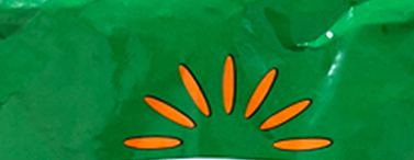 Bright orange sunburst rays on a vivid green background.