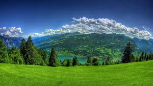 Lush green meadow with rolling hills, pine trees, and distant mountains under a bright blue sky.