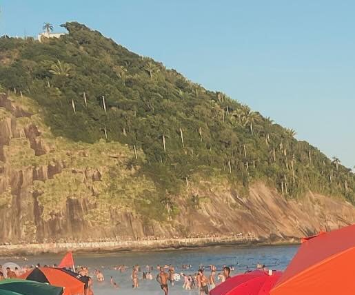 Beach scene with a forested hillside, palm trees, and colorful umbrellas along the shore.