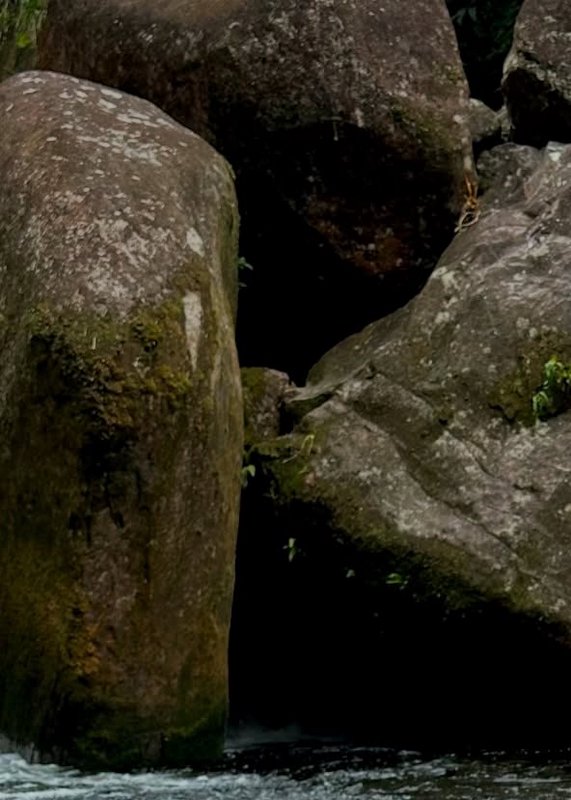 Mossy rock formations beside calm water, creating a narrow rocky inlet.