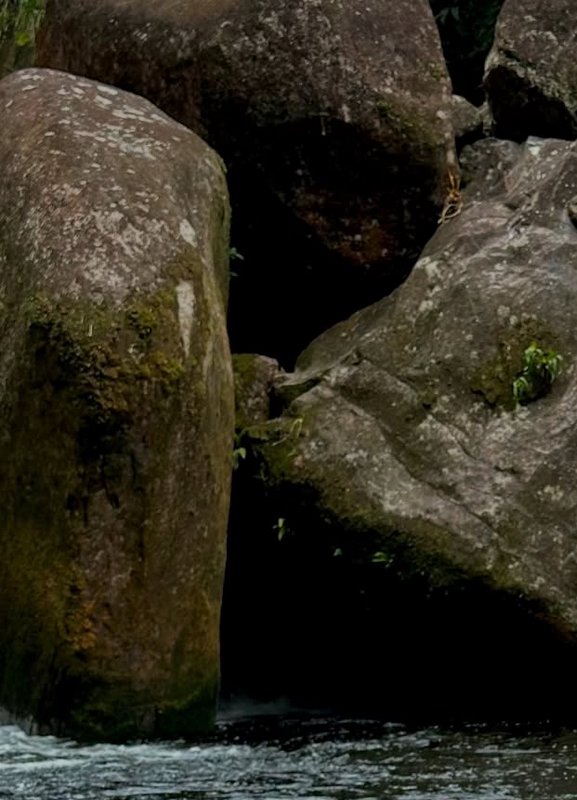 Mossy rocky shoreline with large boulders by dark water
